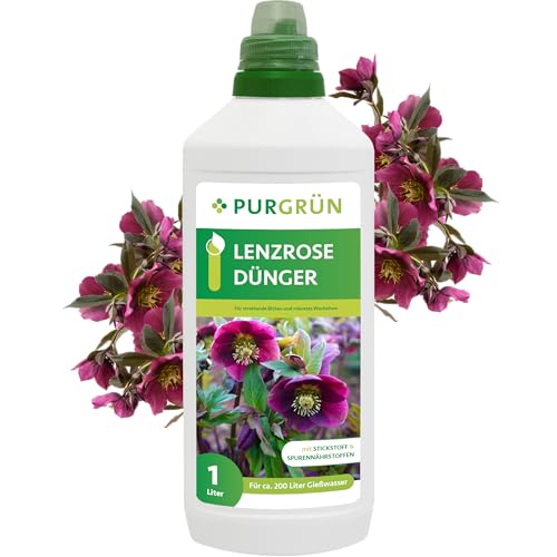 Purgrün® Lenzrose-Dünger 1 L – Schnell wirksamer...
