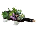 Wine Bottle Planter Vase with Stand, Wine Bottle Succulent Planter Pots for Plants/Cactus/Flower,Glass Candle Holder Vase, Glass Fruit Salad Tray, Without Plant