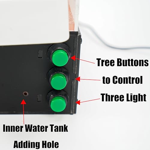 Rimsunta Ameisenfarm für lebende Ameisen - für kleine Ameisen-Klonie - Natürliches Lernspielzeug - Tolles Geschenk