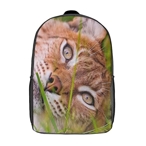 Sac à dos imprimé en 3D Bobcat : le cartable robuste qui soulage le dos