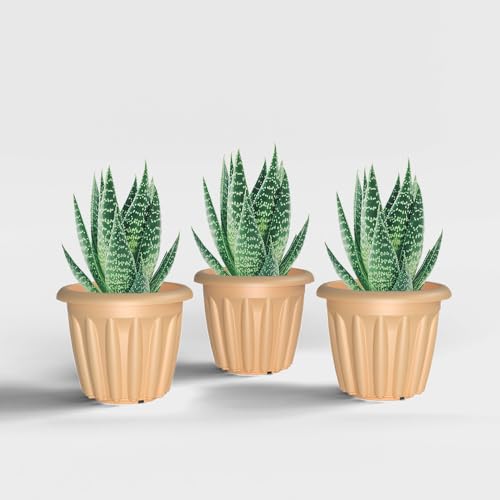 Image of YUCCABE ITALIA SHERA Floot Plastic Flower Pot Round Planter Suitable for Indoor Outdoor Kitchen Garden (Beige, 6 INCH - 3 Pcs)
