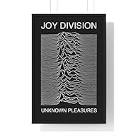 Official licensed Joy Division wall art: Joy Division Unknown Pleasures Album Artwork maxi poster for fans, collectors and punk rock decor Large poster size: 61 x 91.5 cm maxi format for bedrooms, studios, offices, music rooms and home bars Supplied ...