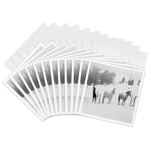 Cartes de vœux chevaux en hiver pour illuminer vos correspondances