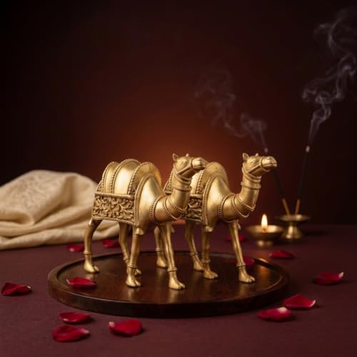 Image of 100% Pure Brass Camel Statue - Single | Decorative Camel Idol for Home Decor, Vastu, Office Table & Rajasthani Showpiece | Pack of 1 Piece