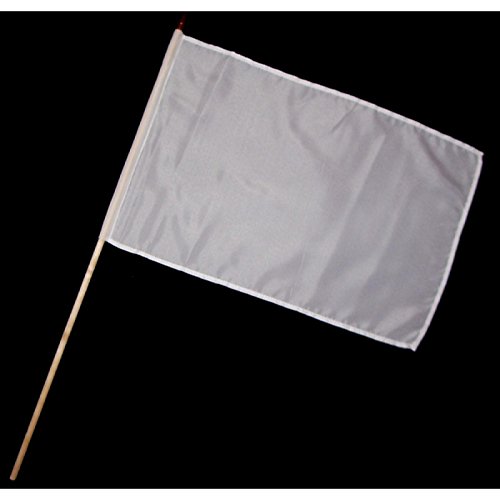 Everflag Stock-Flagge 30 x 45 : Weiß - Ideal zum selbergestalten! Cover