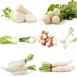 semillas de rábano - semillas de nabo rábano jardín decoración balcones - Serie raras orgánicas 350pcs