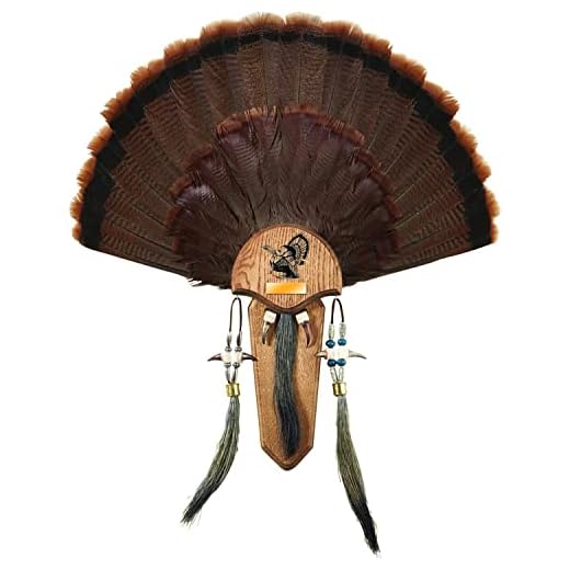 Hunters Specialties Easy To Assemble Trophy Mount H.S. Strut Three Beard Mounting Plaque with Natural Oak Finish,Brown