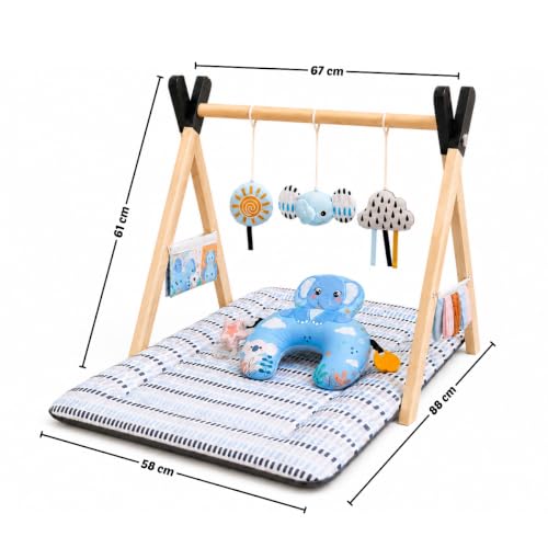 Image of Tiny Explorer's Play Gym by Little Minds at Work | Baby Play Mat for 0 to 2 Years | Sensory Play & Motor Skill Development for Babies | Crinkle Toys, High-Contrast Cards | Soft & Baby-Safe Materials