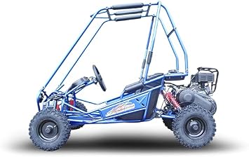 TRAILMASTER MINI XRS+ Kids Size GO Kart (Blue)