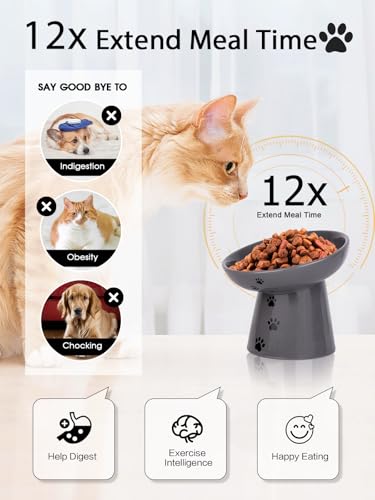 image for Y YHY Slow Feeder Cat Bowl, Ceramic Cat Slow Feeder Bowl, 6 Inches, El