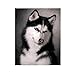 Produktbild WAZHCY Tricky Husky Ölgemälde nach Anzahl Acrylfarbe Dekor Leinwand Malerei Färbung nach Anzahl Zeichnung Tier 40X50 cm,Ohne Rahmen,C