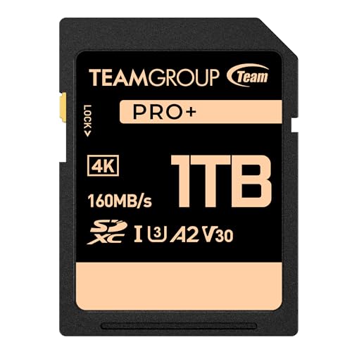Carte SDXC 160 Mo/s TEAMGROUP PRO performance A2 pour photographie rafale