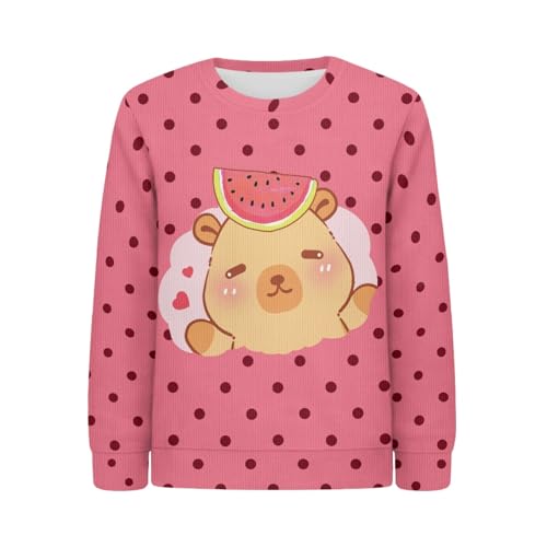 HUIACONG Boys Girls Sweatshirt Children Sweater for Kids Shirt