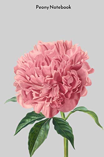Peony Notebook: Portable lined Peony - Travel Journal to write in - 120 pages - 6"x9"