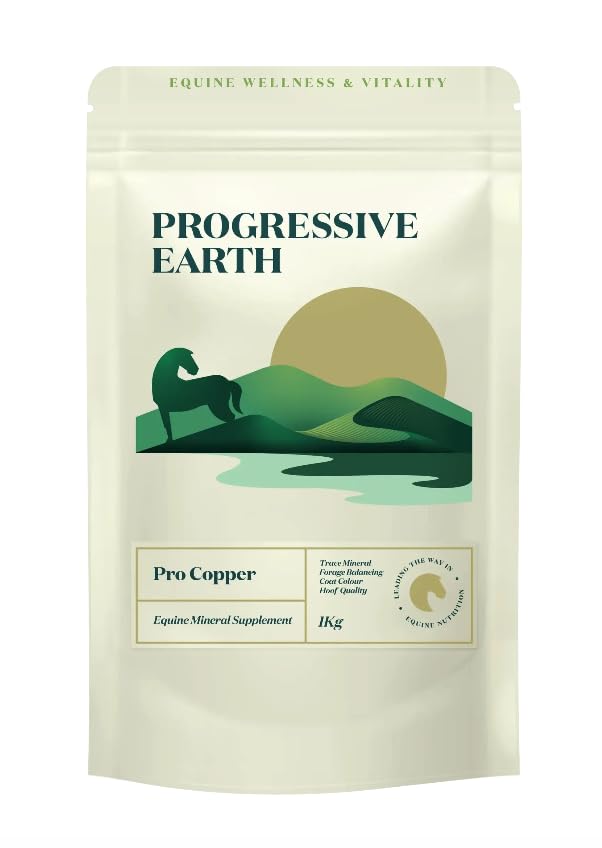 Pro Copper | 250mg Elemental Copper per Serving | Equine Hoof, Coat & Joint Support