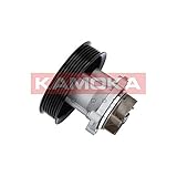  Kamoka Wasserpumpe Pumpe Wasser Kühlwasser Kühlwasserpumpe Kühlung T0014