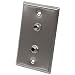 Seismic Audio SA-PLATE21 Stainless Steel Wall Plate with Dual 1/4-Inch TRS Stereo Jacks