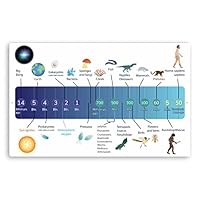 1 x 20cm Geological Timeline Vinyl Stickers Planet Earth Biology Sticker #70610