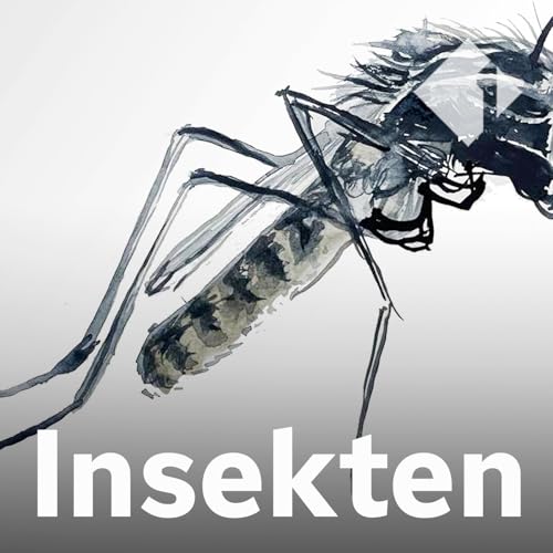 Orthopodomyia pulcripalpis cover art