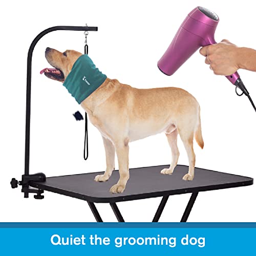Dog Hoodie, Soft Snoods for Dogs (Cyan, L)