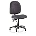 Reliable SewErgo 200SE Ergonomic Task Chair with Adjustable Back