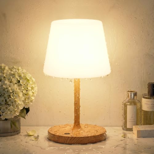 Kakanuo Cordless Shower Lamp Waterproof Cordless Lamp with 4000mAh Battery Rechargeable Table Lamp Touch Dimmable Desk Light for Outdoor Kitchen Bathroom Camping Patio IP54