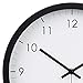 Amazon Basics Classic 12