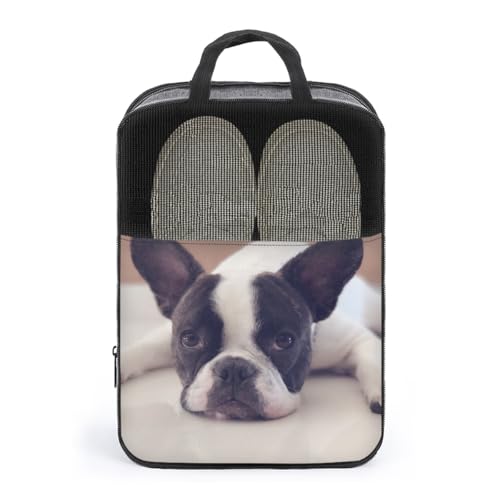 V[YP[X t`uhbO V[YobO V[Y|[` V[Y gx|[` C  V[Y o s y ^тɕ֗ [obO ւ jp AEghA o s v[g