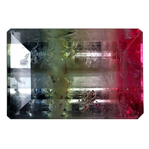 Tourmaline pastèque naturelle octogone de 1.64 ct pour un cadeau éternel