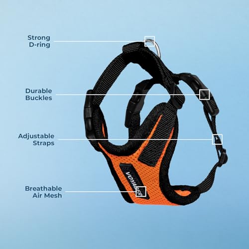 Image of Voyager Step-in Pet Harness - All Weather Mesh, Adjustable Step in Harness for Cats and Dogs by Best Pet Supplies - Orange /Black Trim, S