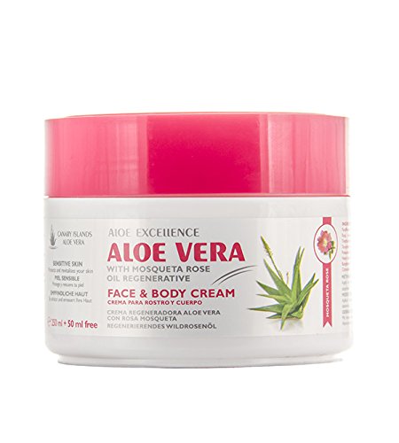 buy aloe vera plant Large Aloe Vera Plant Bare root  Dose of Succulents