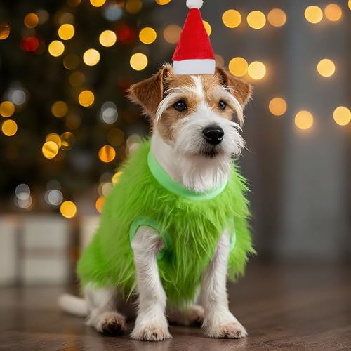 Disfraz navideño verde para perros pequeños con gorro rojo miniatura 5