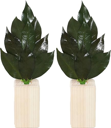 A&Ky  ~j 嗧ăZbg z Ђ̂ qmL w Y  sgp vU[uh  (OgY ֗tgp)  pVēo^ 3222297  nhCh ͂Ȃ  __ TJL  sv _I ꐳ  }