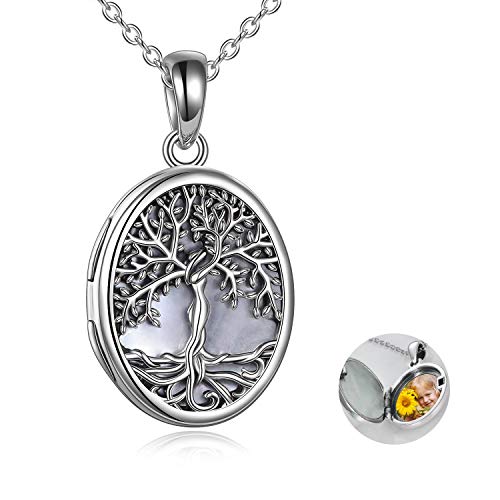 YFN Locket Necklace That Holds Pictures Sterling Silver Tree of Life Locket Necklace Mother of Pearl Shell Family Tree Pendant Jewelry for Women