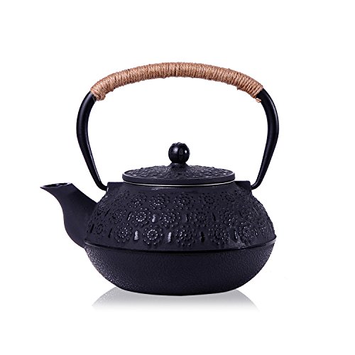 Buy JUEQI 900 ML Old Dutch Cast Iron Teapot, Enamel Craft Tetsubin