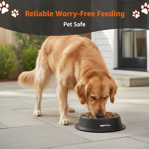 Image of Amazon Basics Stainless Steel Pet Feeding Bowls for Dog & Cats | Anti Slip Base | 2 Pcs Set | Canister & Pet Bowl in Black Color | Canister 1000 ml & Bowl 700 ml