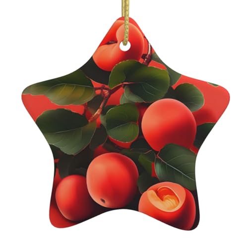 Christmas Tree Ceramic Hanging Star Ornament WHYJIC Red Apricot Picture Easy to Hang for Holiday Party 3.12x3.12in