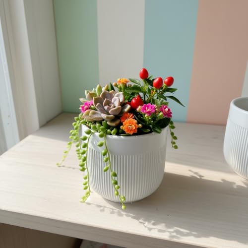 Image of Xtore Refined Ceramic Ribbed Planter with Base | Medium Round Plant Pot for Desk, Shelf & Corner Decor - (White, 1 Piece, Planter ONLY)