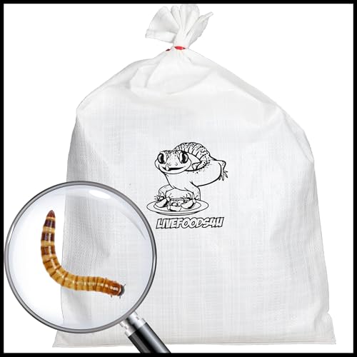 Livefoods4u Live Morio Worms 250g Bulk Bag (4-6cm) | Large Feeder Worms for Bearded Dragons, Monitors & Wild Birds | High Fat & Protein Livefood | Bulk Pack - Image 3
