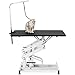 WEALTHGIRL Modern Pet Grooming Table, Professional Hydraulic Dog Pet Grooming Table Heavy Duty Big Size Z-Lift Pet Grooming Table Height Adjustable from 21IN to 36IN (Black)