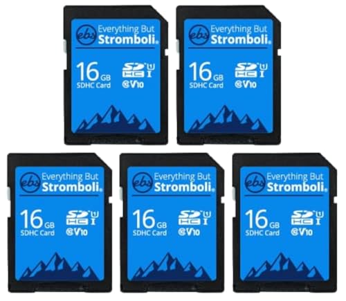 Carte mémoire SDHC 16GB Classe 10 pour enregistrement vidéo d'appareil photo