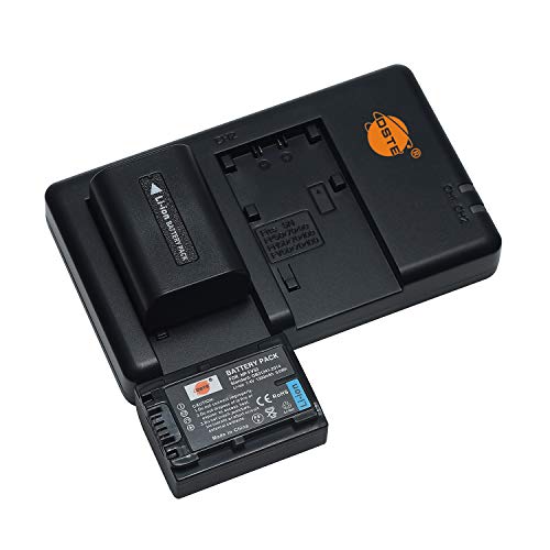 NP-FV50 - Batería Recargable y Cargador Dual Compatible con Sony HDR-CX220, CX230, CX290, CX330, CX380, CX430V, CX900, CX260V, CX580V, CX760V, PJ200, etc.