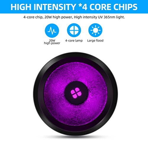 DARKBEAM UV Torch 365nm Black Light Wood's lamp, Rechargeable Blacklight, LED Ultraviolet Flashlight - Image 3