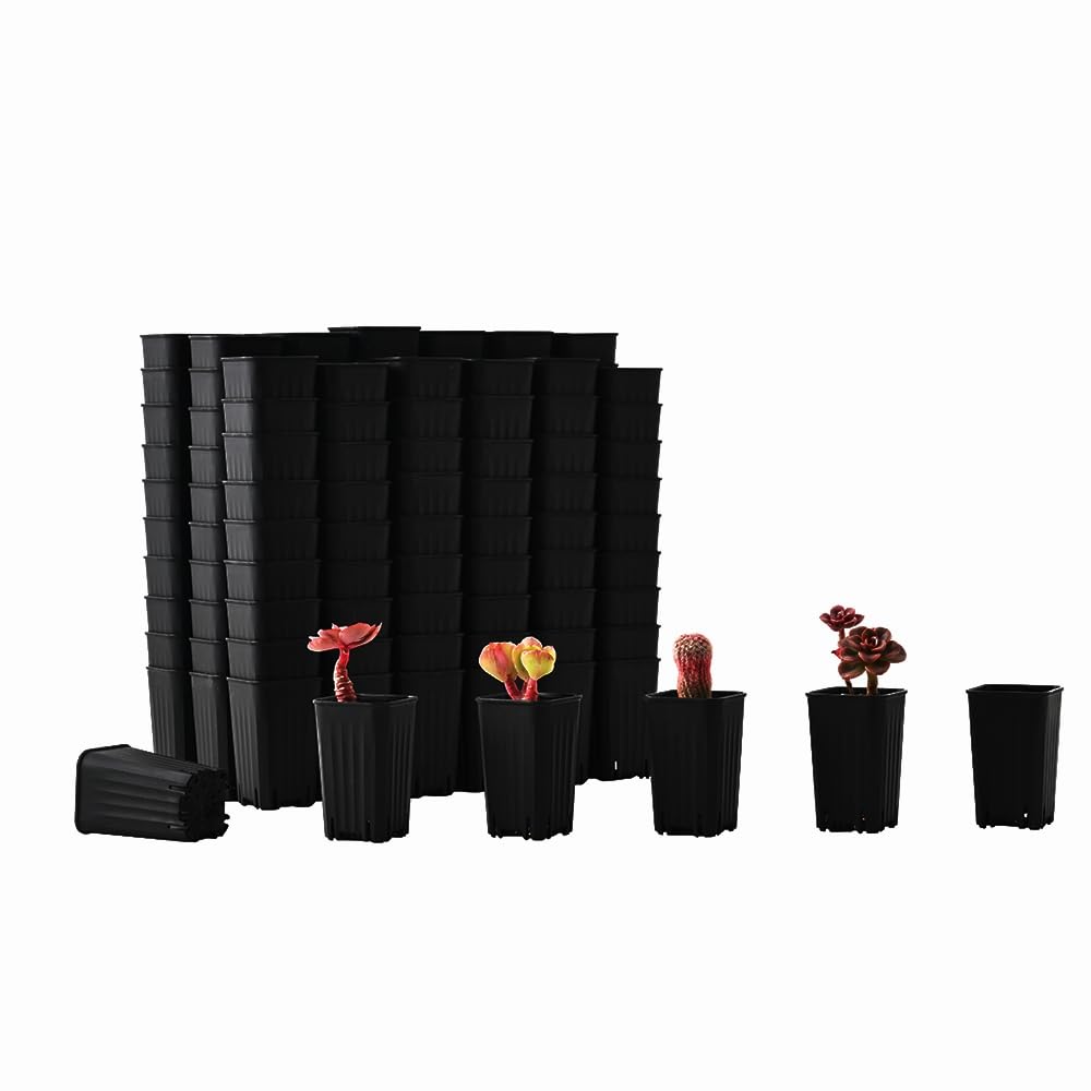 Lot de 180 petits pots de semis carrés en plastique noir de 5,9 cm avec trou de drainage pour germination, herbes et plantes grasses