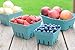 Kitchens Green Molded Pulp Fiber Berry/Produce Vented 1 Pint Basket 40 Pieces