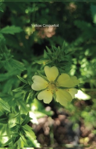 Yellow Cinquefoil: Journal/Planner (In The Garden)