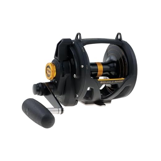 PENN 1292938 Squall Lever Drag 2-Speed Trolling Fishing Reel, 890/50