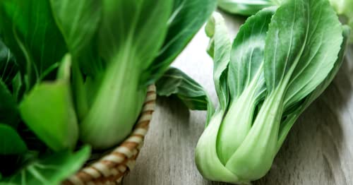 KIRA SEEDS - Chinese Cabbage Bok Choy - Heirloom Vegetable - GMO Free