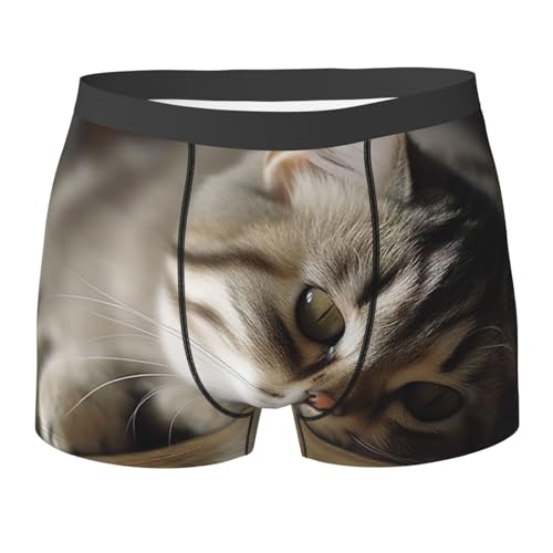 Men's Boxer Shorts Sleeping Cat Breathable Stretch Moisture Wicking Boxer Shorts for Men