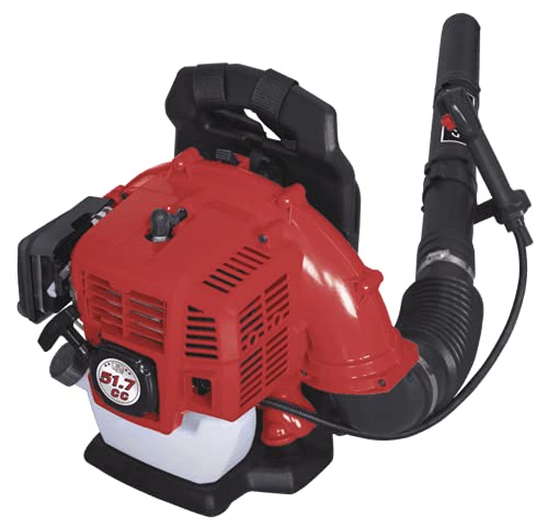 Scheppach Benzin Laubbläser LB5200BP mit 51,7 cm³ 2-Takt-Motor
